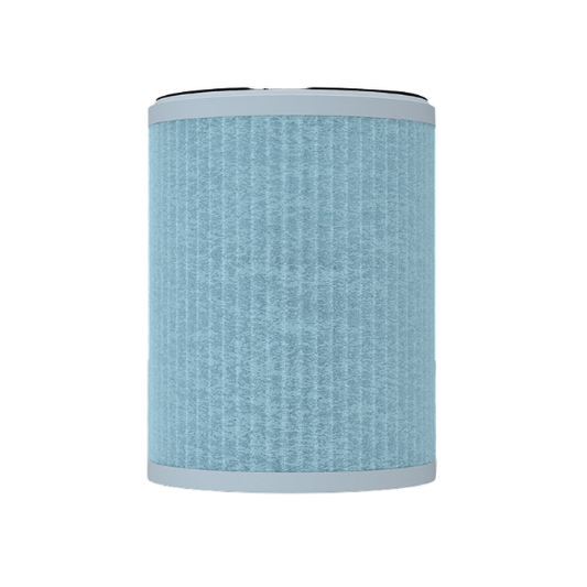 HEPA Filter Replacement