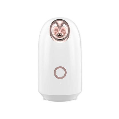 HexoSkin™ Face Steamer